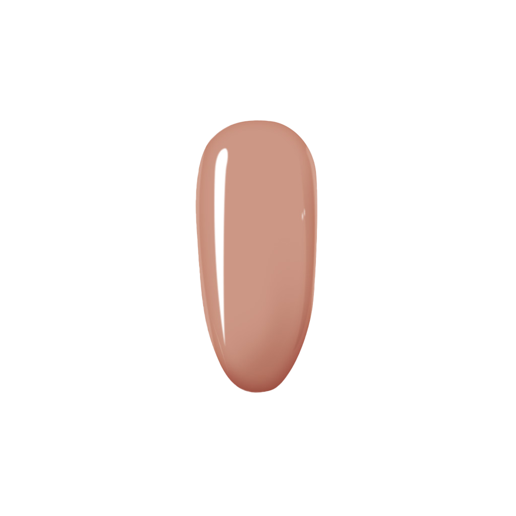 XOXO - Refill sachet