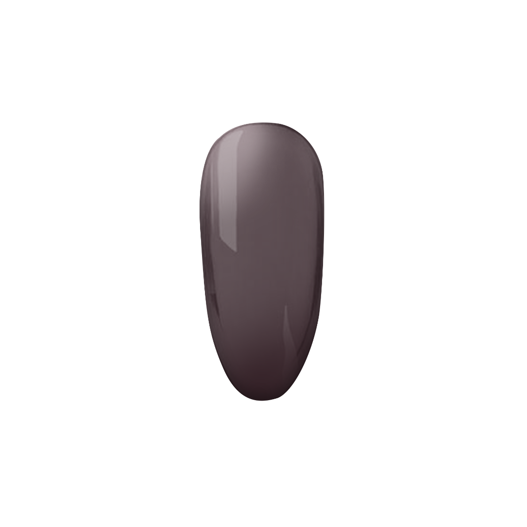 Mocha Shell | Madam Glam