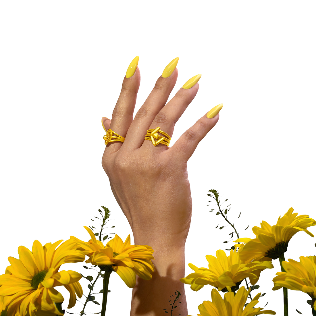 Sunny Veil | Madam Glam