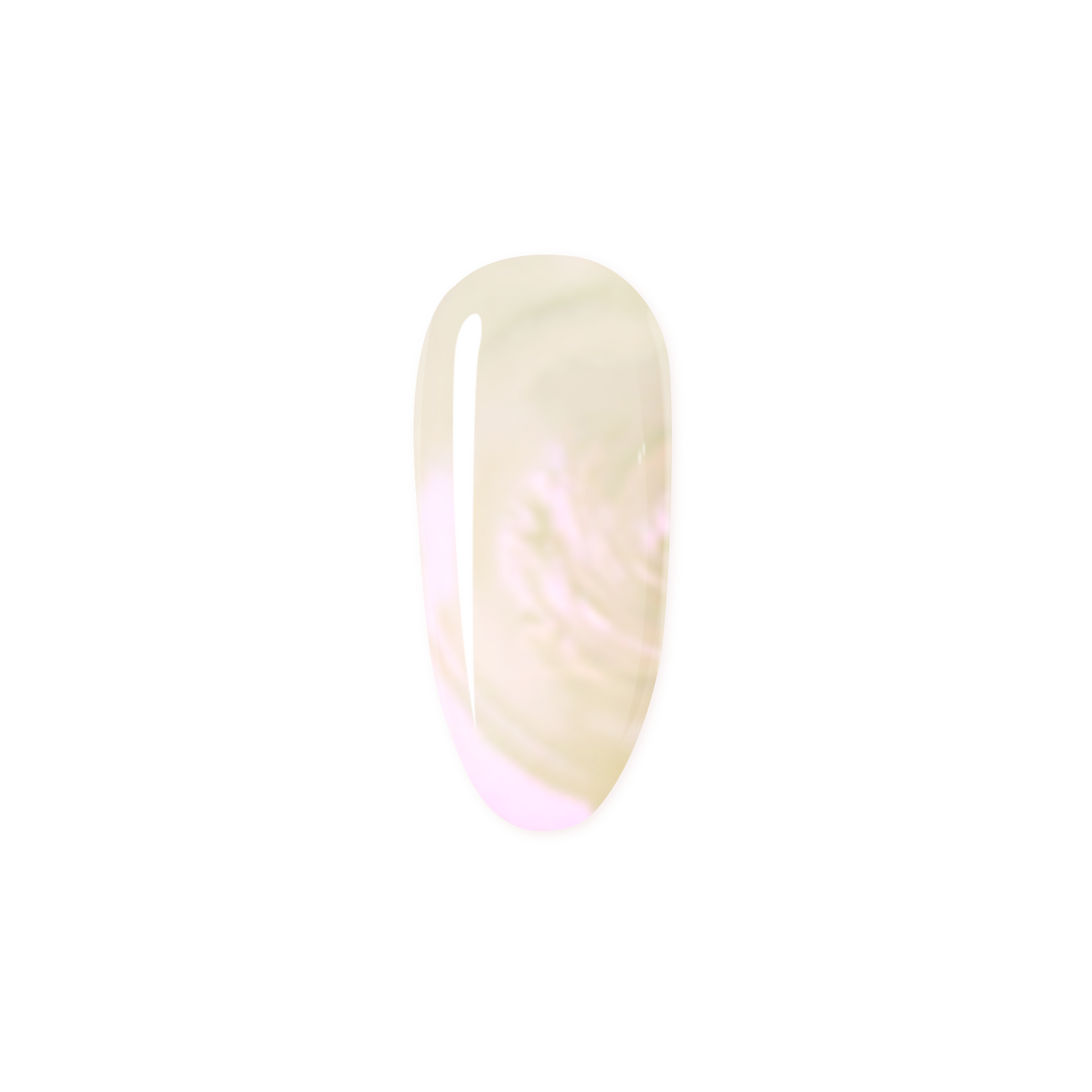 Dreamlight | Madam Glam