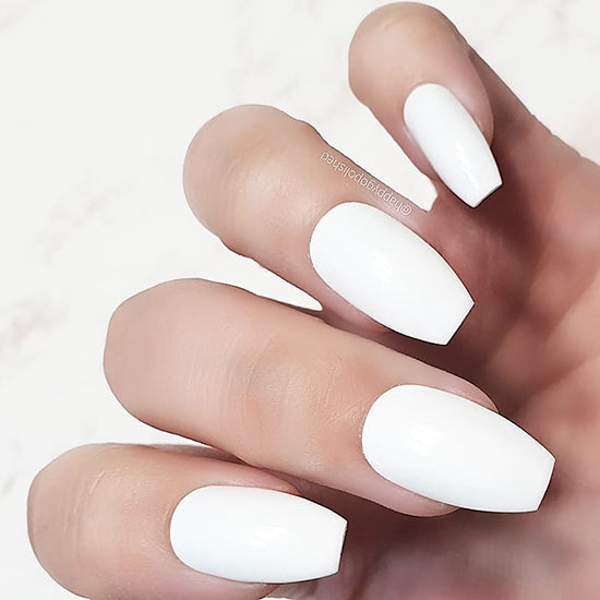 Perfect White Bundle