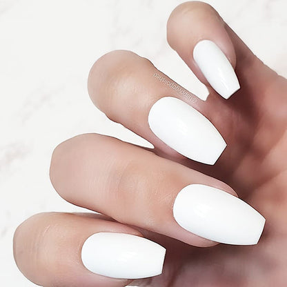 Perfect White Bundle
