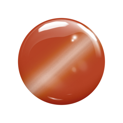 Honey Shell | Madam Glam