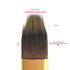 Professional Gel Ombre Nail Brush